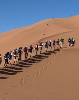 Sahara Trek