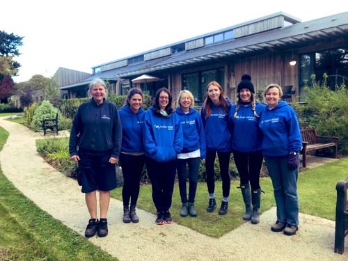 Corporate group volunteering in the garden