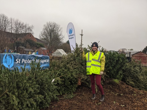 Christmas tree collection point