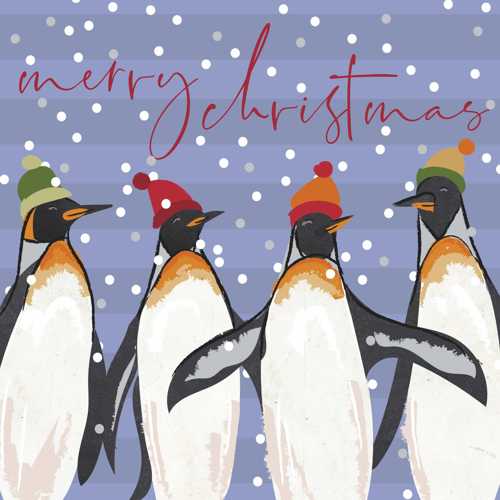 Penguins in bobble hats