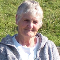 Shirley House