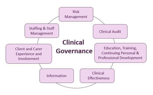 Clinical governance pillars