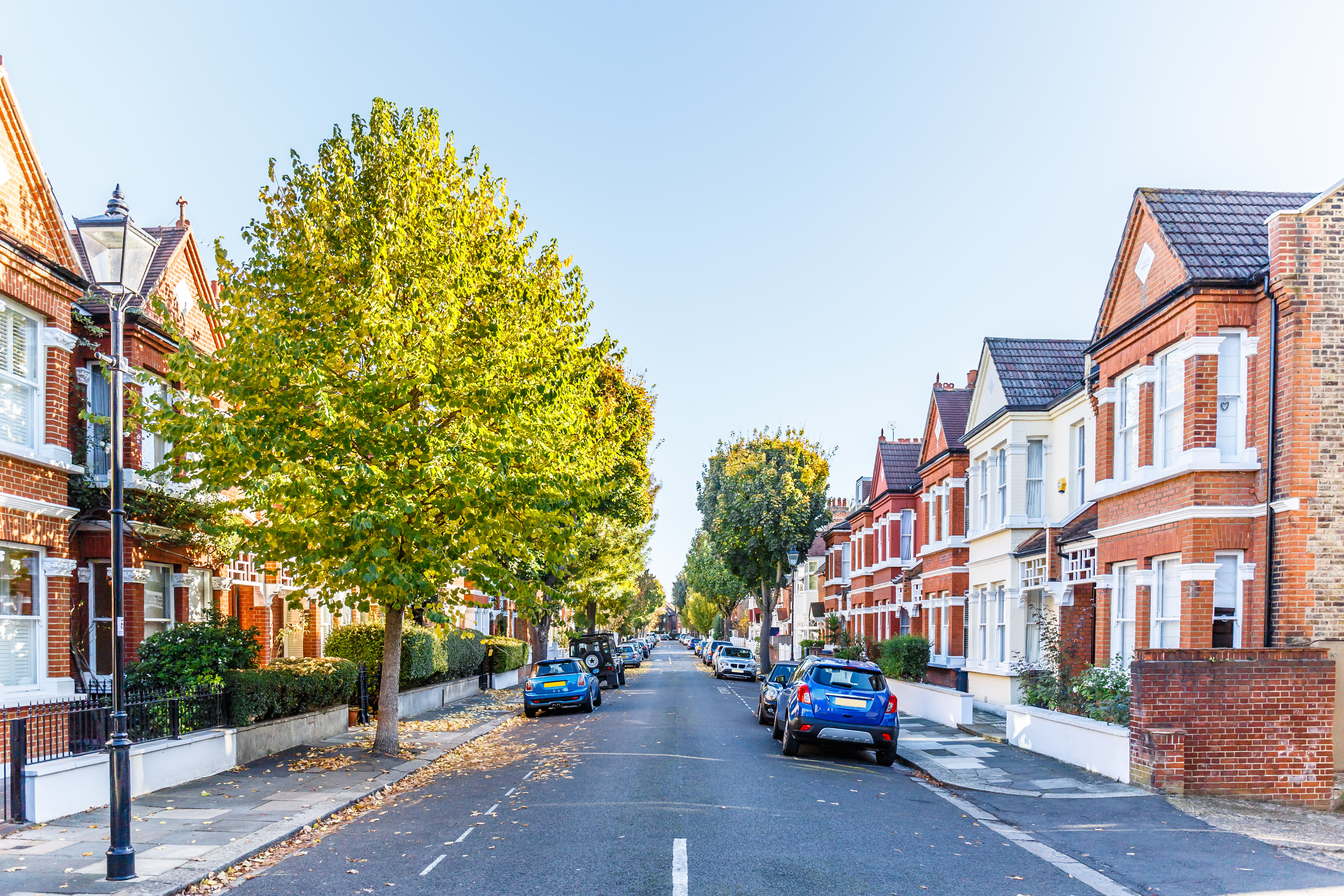 Street with houses and cars